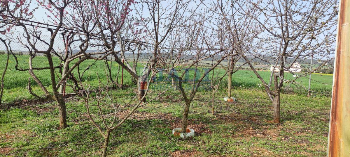 Vente de maison dans Valdepeñas