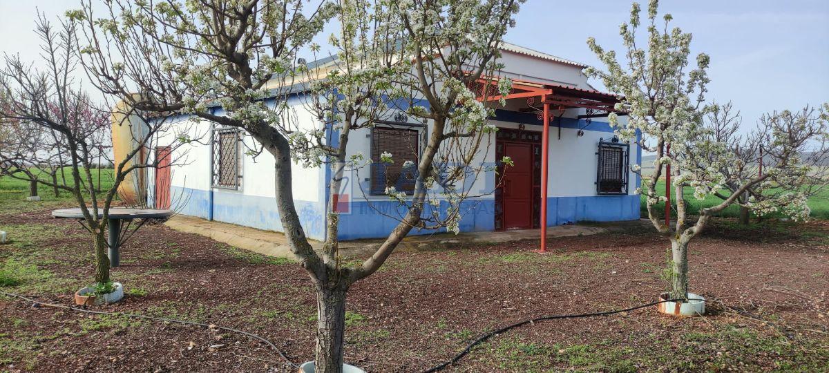 Vente de maison dans Valdepeñas