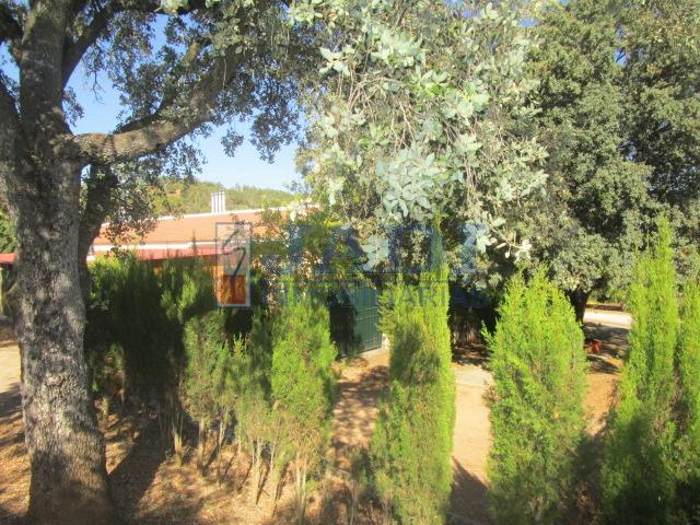 Venta de casa en Almuradiel