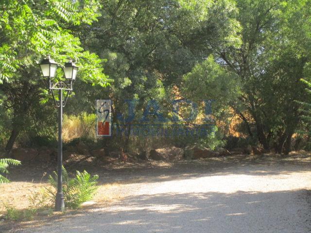 Venta de casa en Almuradiel