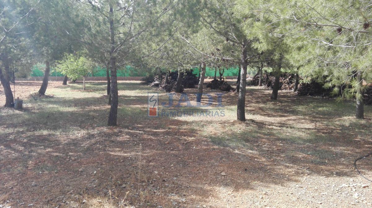 Vente de maison dans Valdepeñas