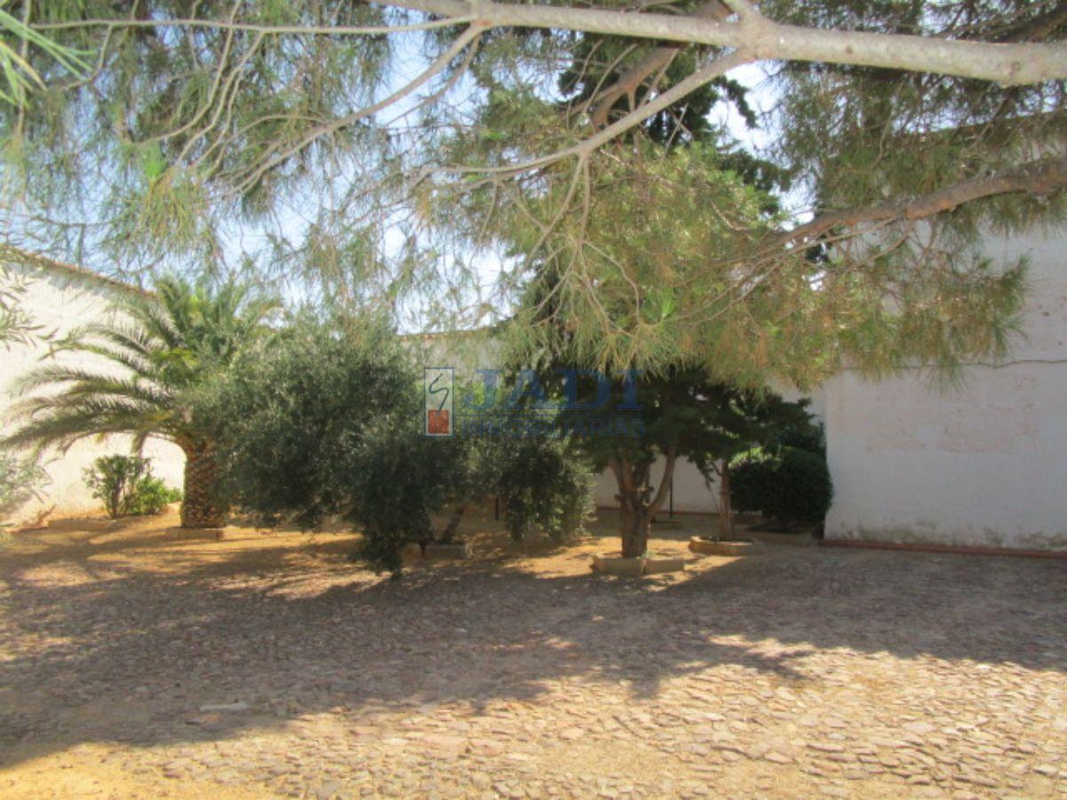 For sale of house in Valdepeñas