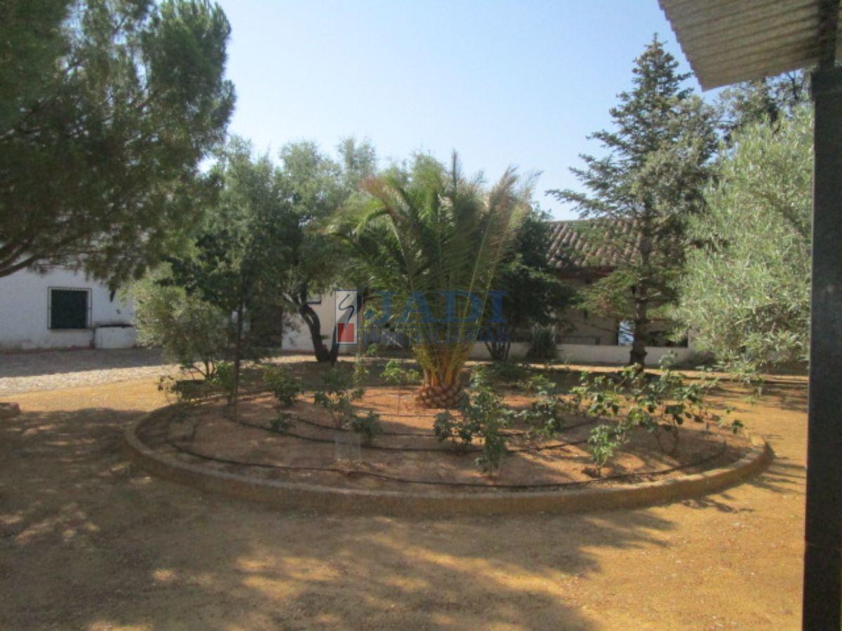 For sale of house in Valdepeñas