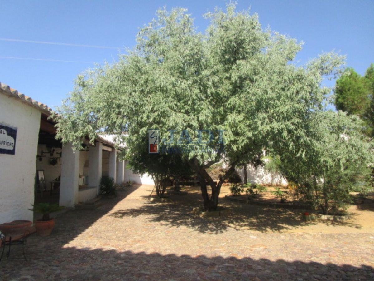 For sale of house in Valdepeñas