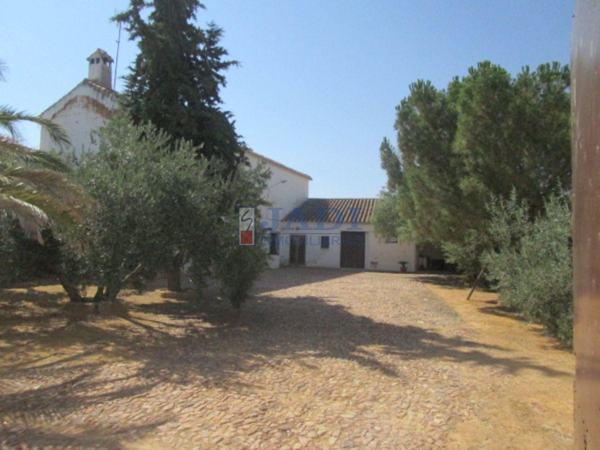 For sale of house in Valdepeñas