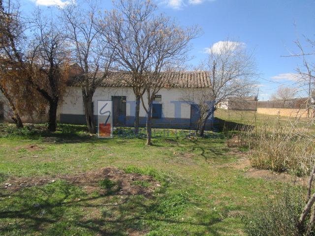 For sale of land in Valdepeñas