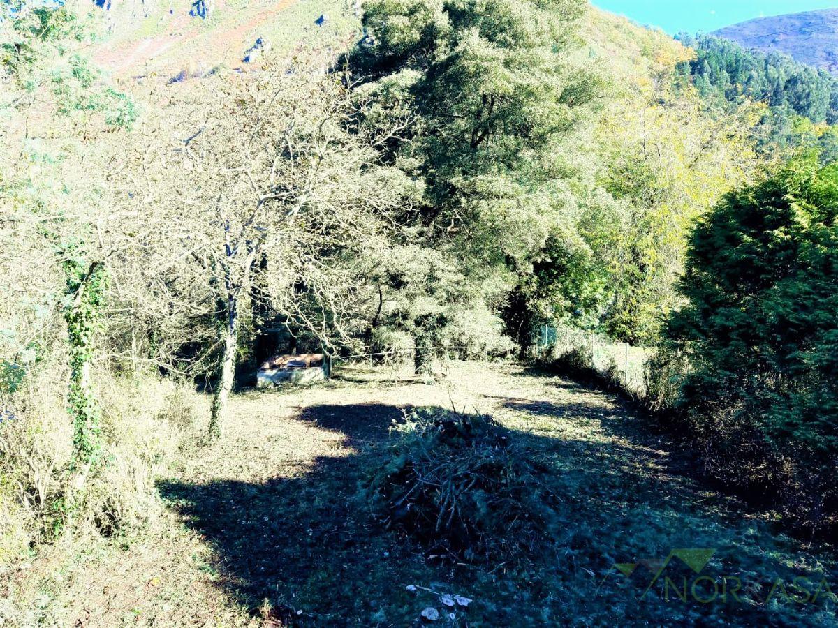 Venta de casa en Belmonte de Miranda