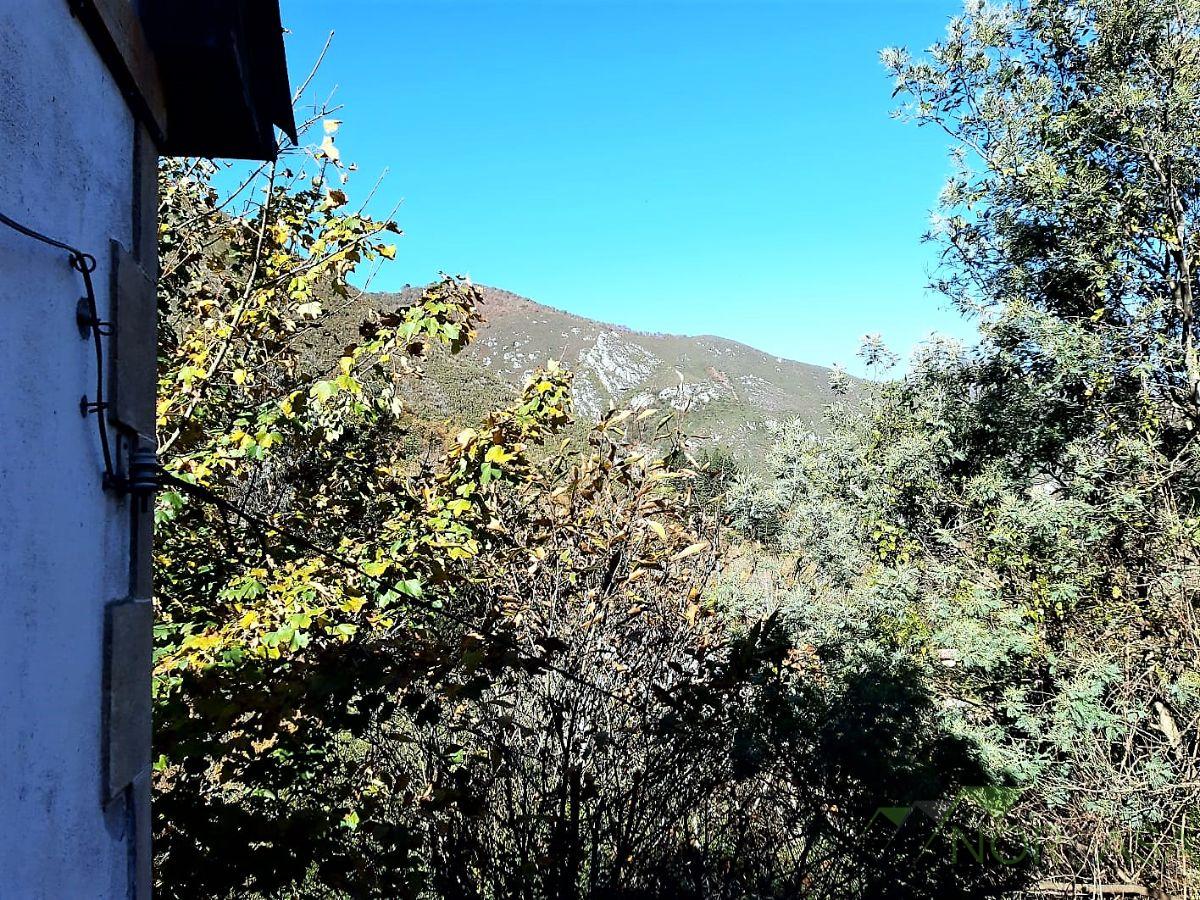 Venta de casa en Belmonte de Miranda