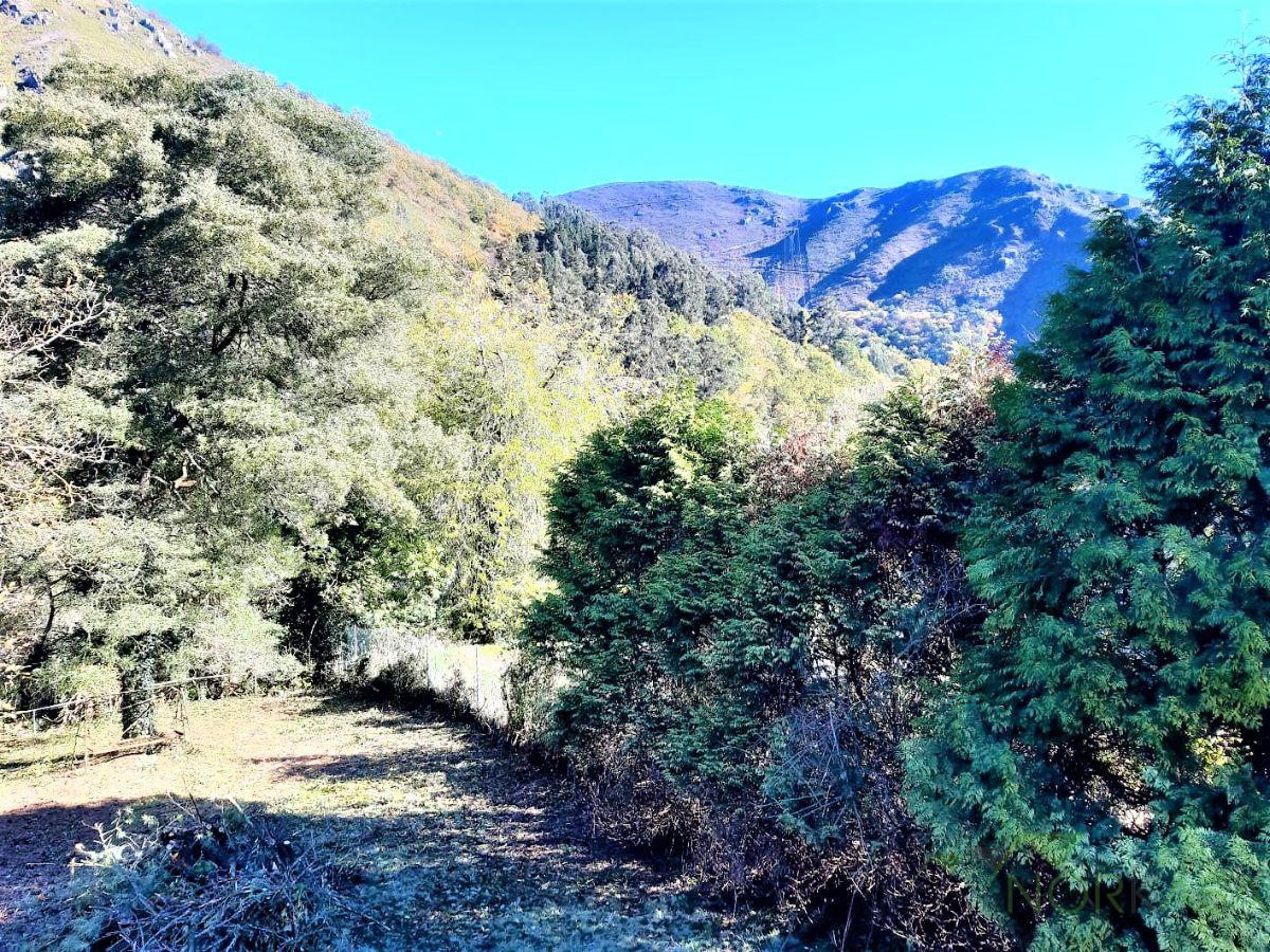 Venta de casa en Belmonte de Miranda