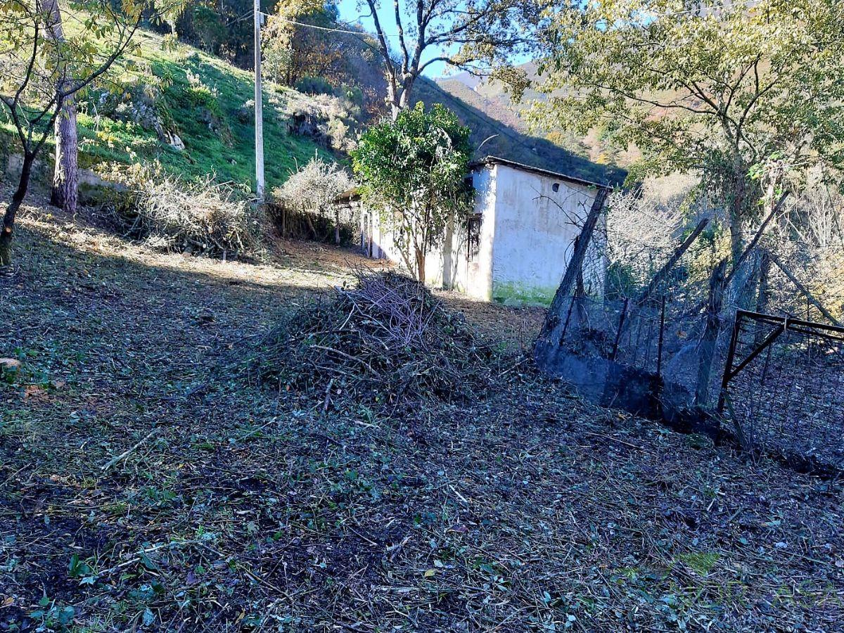 Venta de casa en Belmonte de Miranda