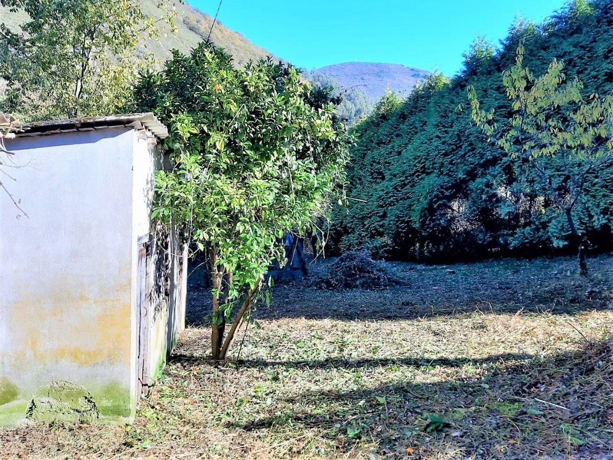 Venta de casa en Belmonte de Miranda