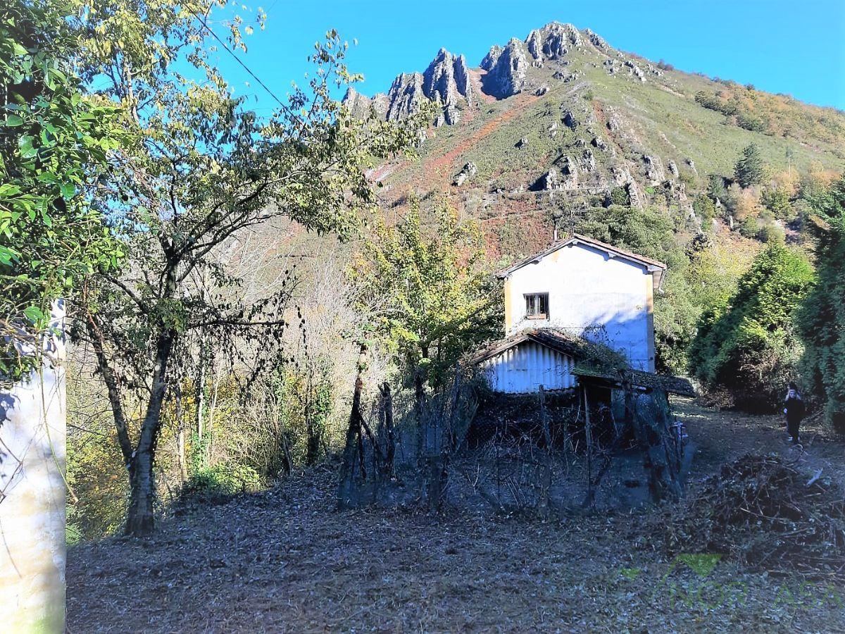 Venta de casa en Belmonte de Miranda