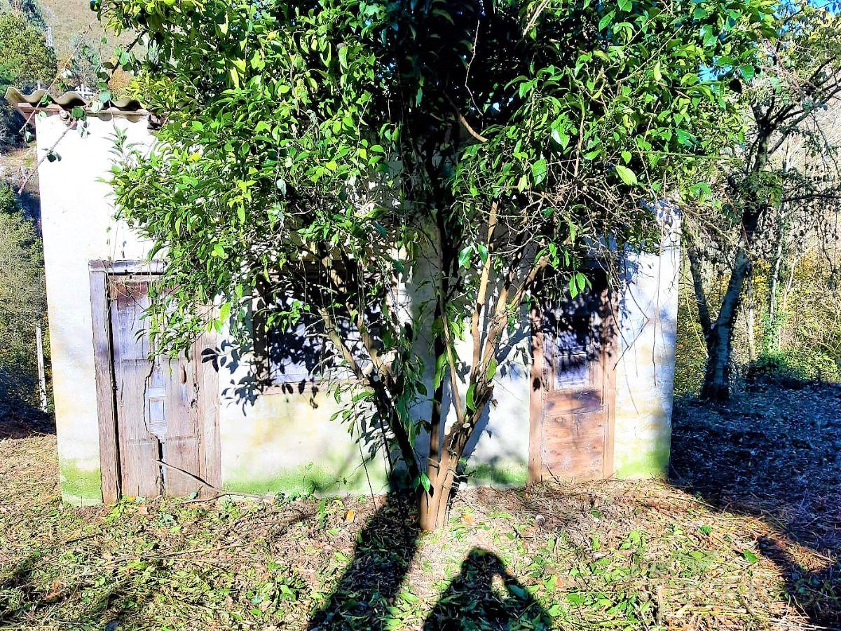 Venta de casa en Belmonte de Miranda