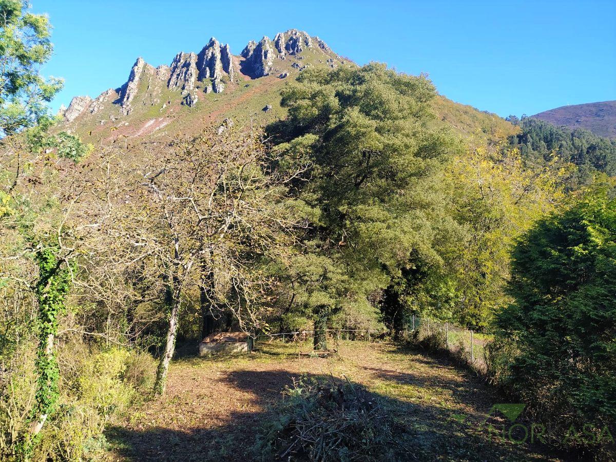 Venta de casa en Belmonte de Miranda