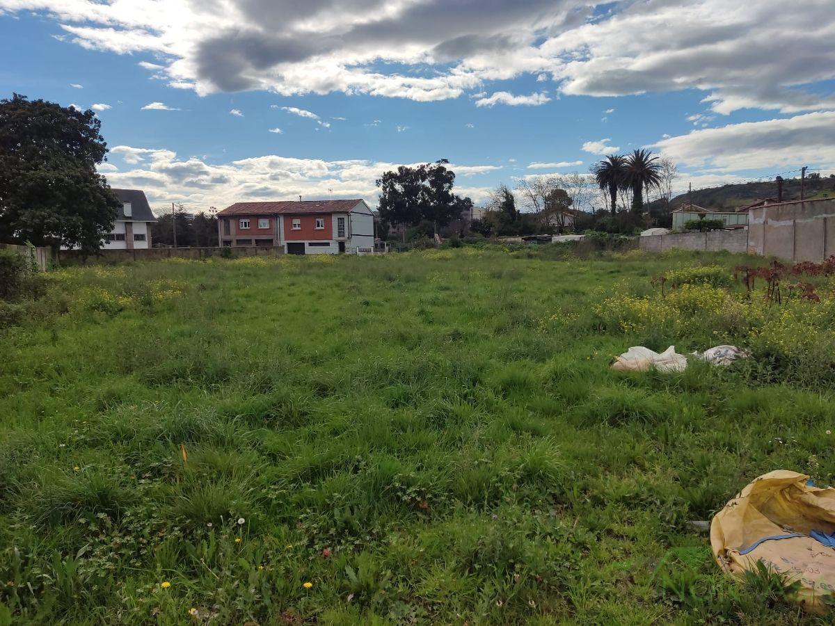 For sale of land in Gijón