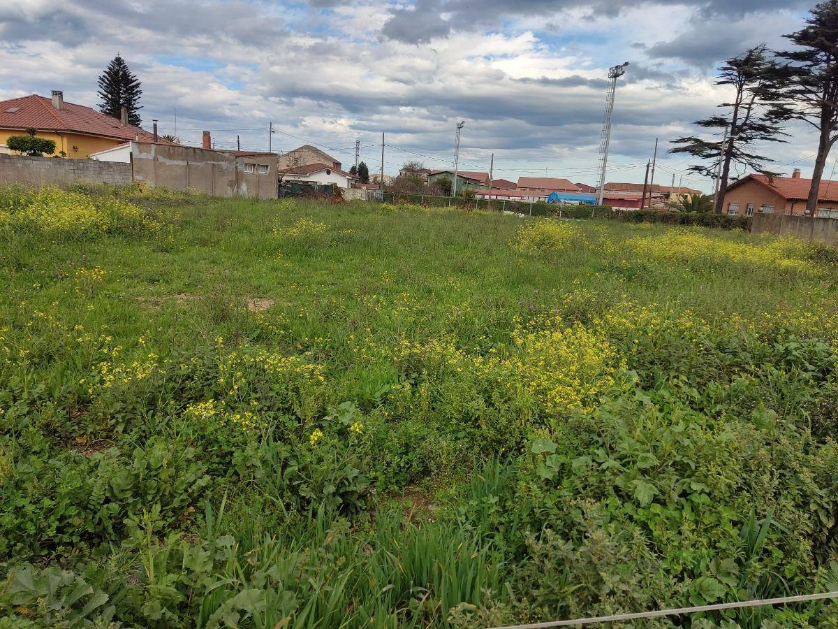 For sale of land in Gijón