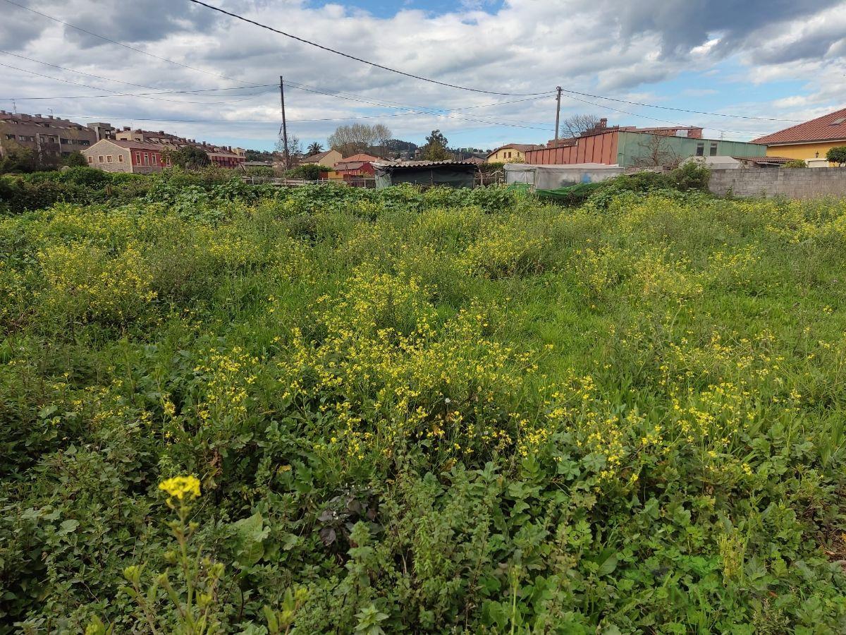 For sale of land in Gijón