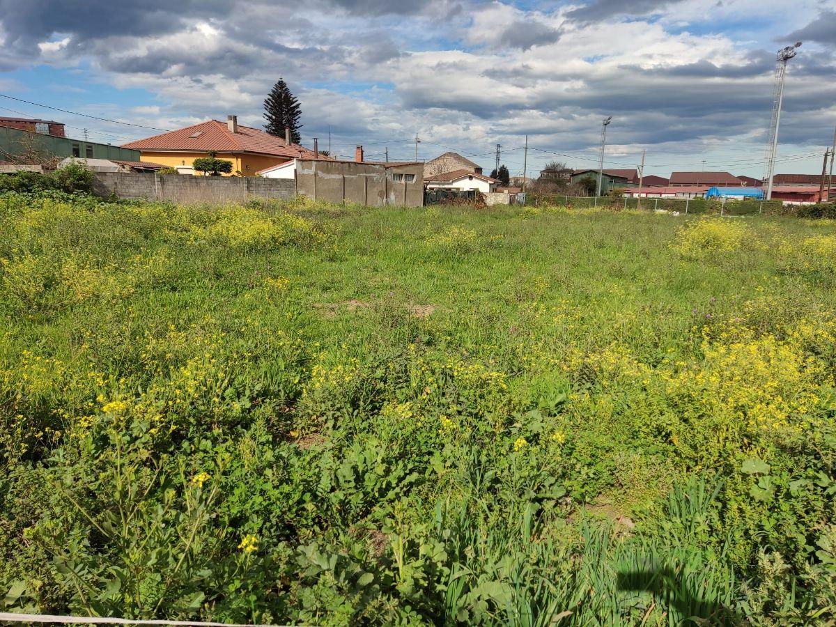 For sale of land in Gijón