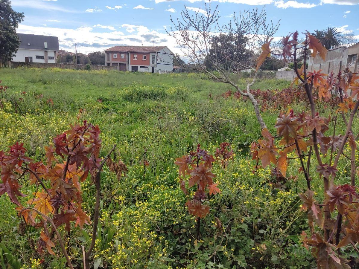 For sale of land in Gijón