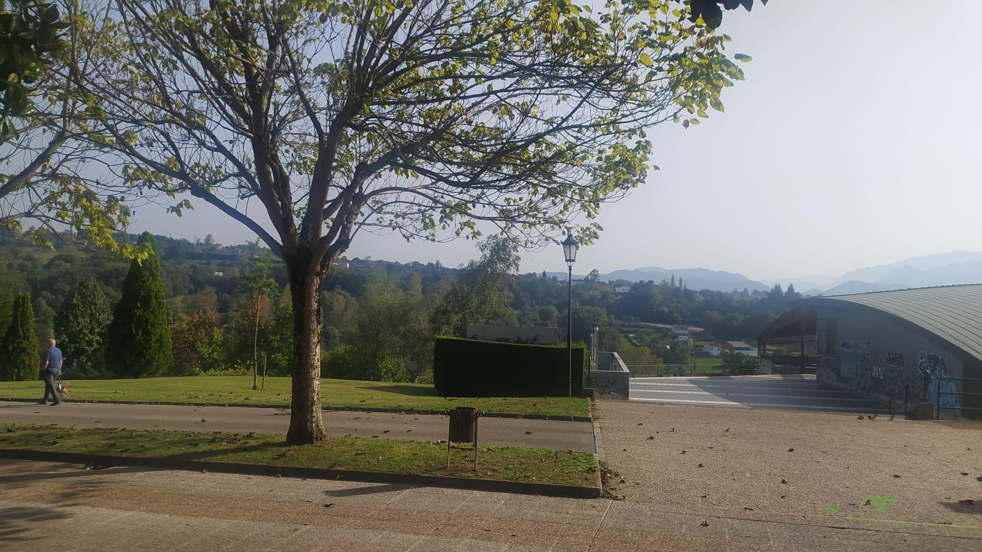 For rent of flat in Oviedo