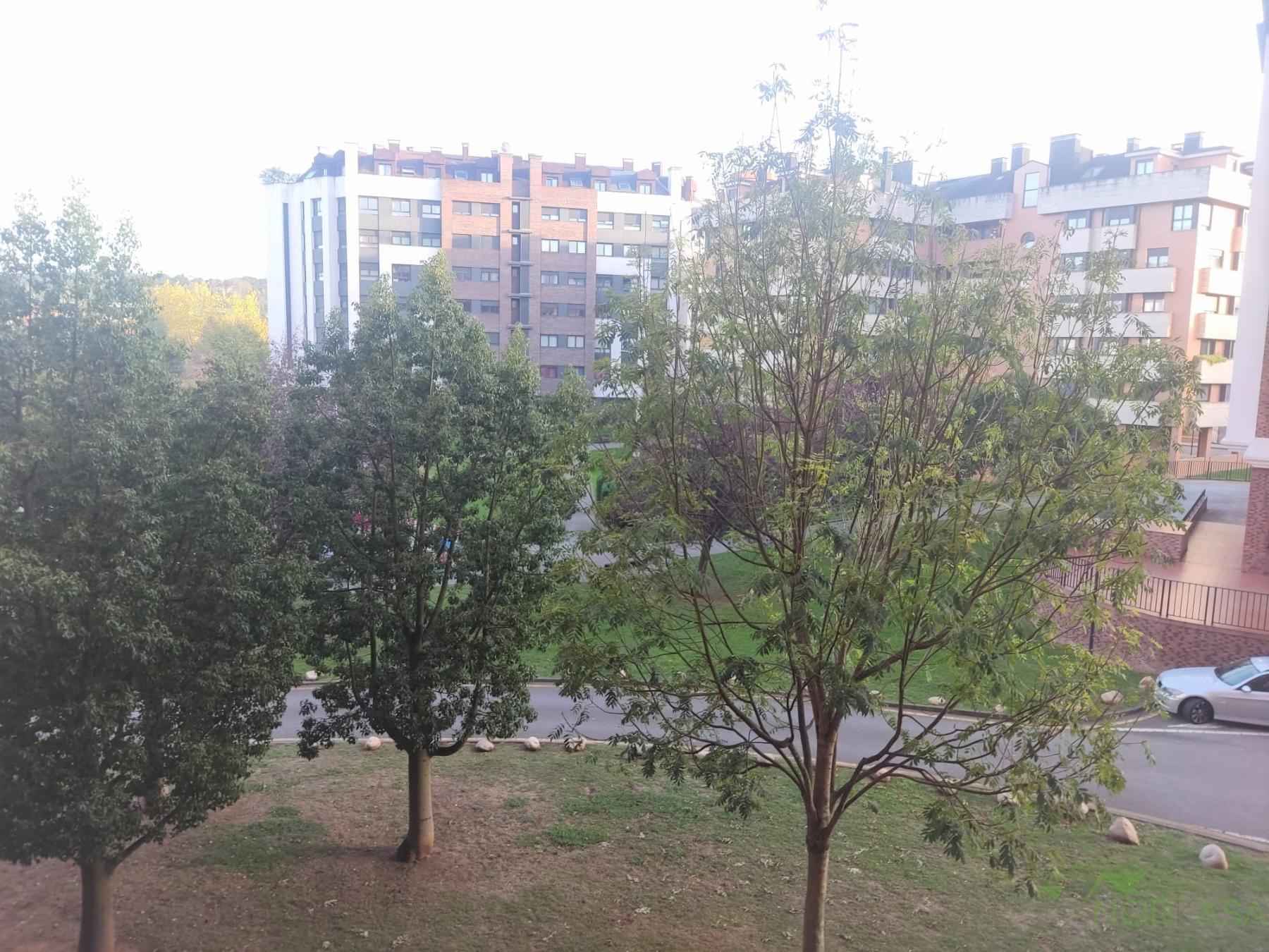 For rent of commercial in Oviedo