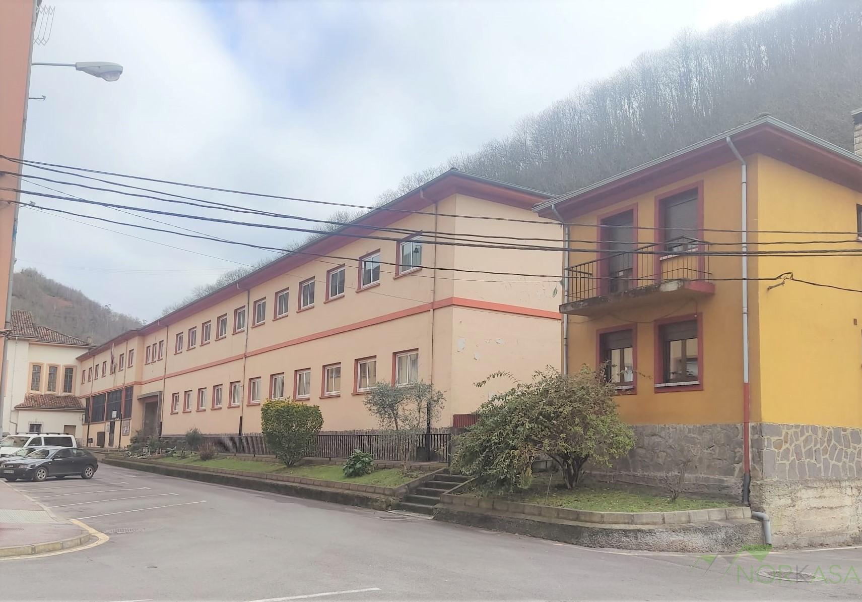 For sale of flat in Mieres Concejo
