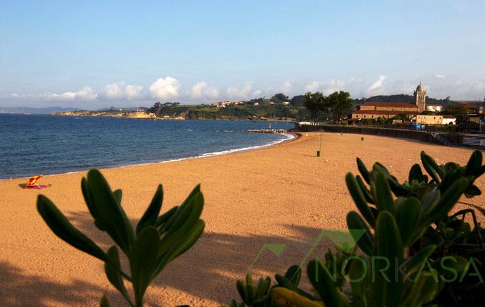 For sale of land in Gozón