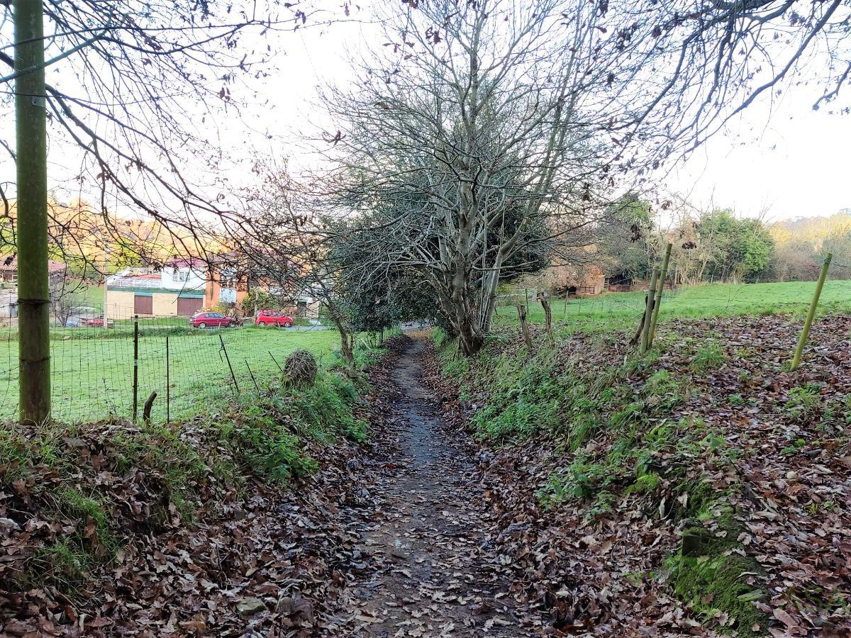 Venta de finca rústica en Oviedo