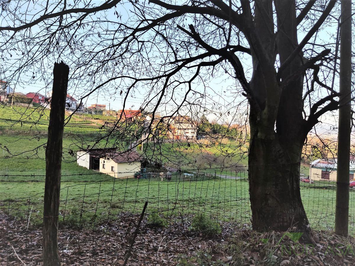 Venta de finca rústica en Oviedo