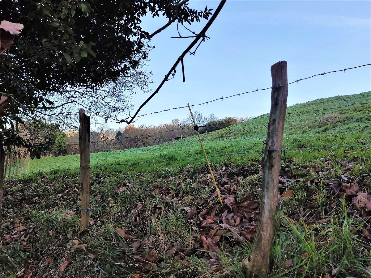 Venta de finca rústica en Oviedo