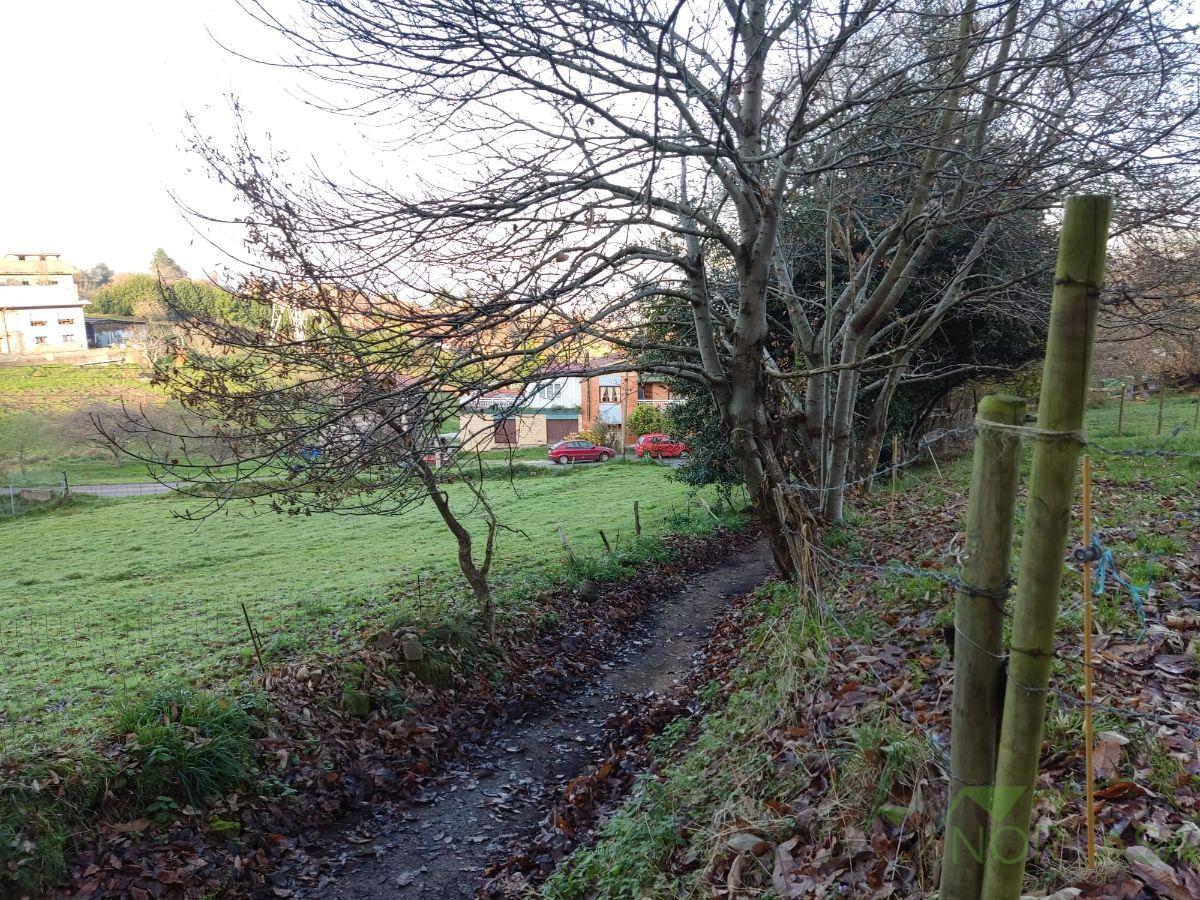 Venta de finca rústica en Oviedo