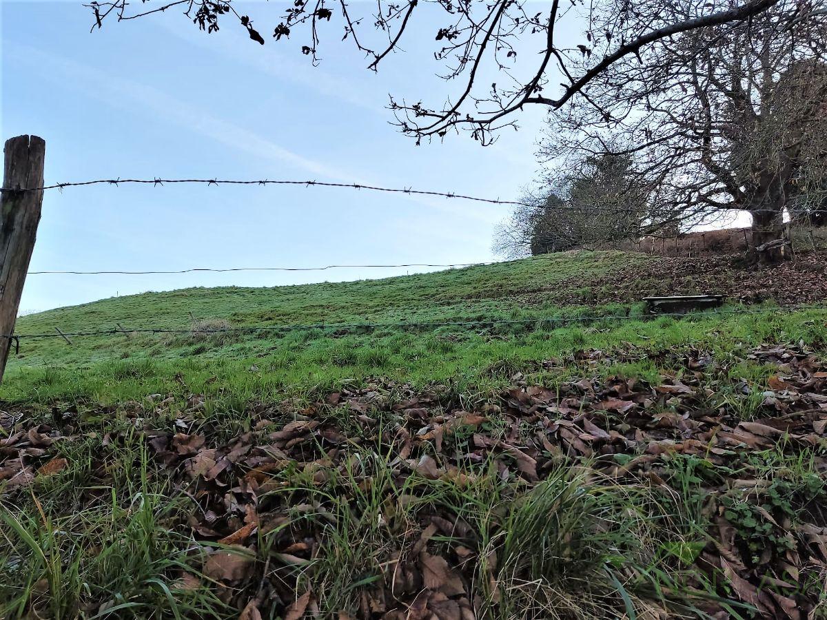 Venta de finca rústica en Oviedo