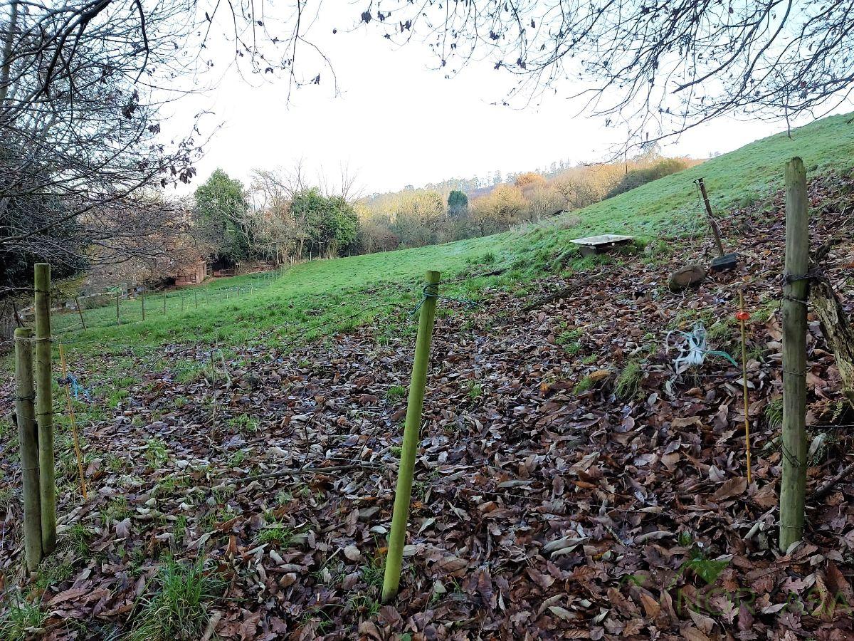 Venta de finca rústica en Oviedo