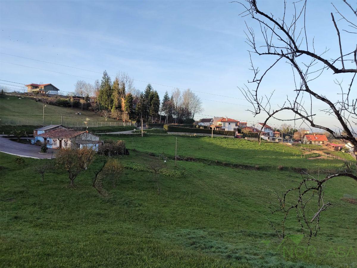 Venta de finca rústica en Oviedo