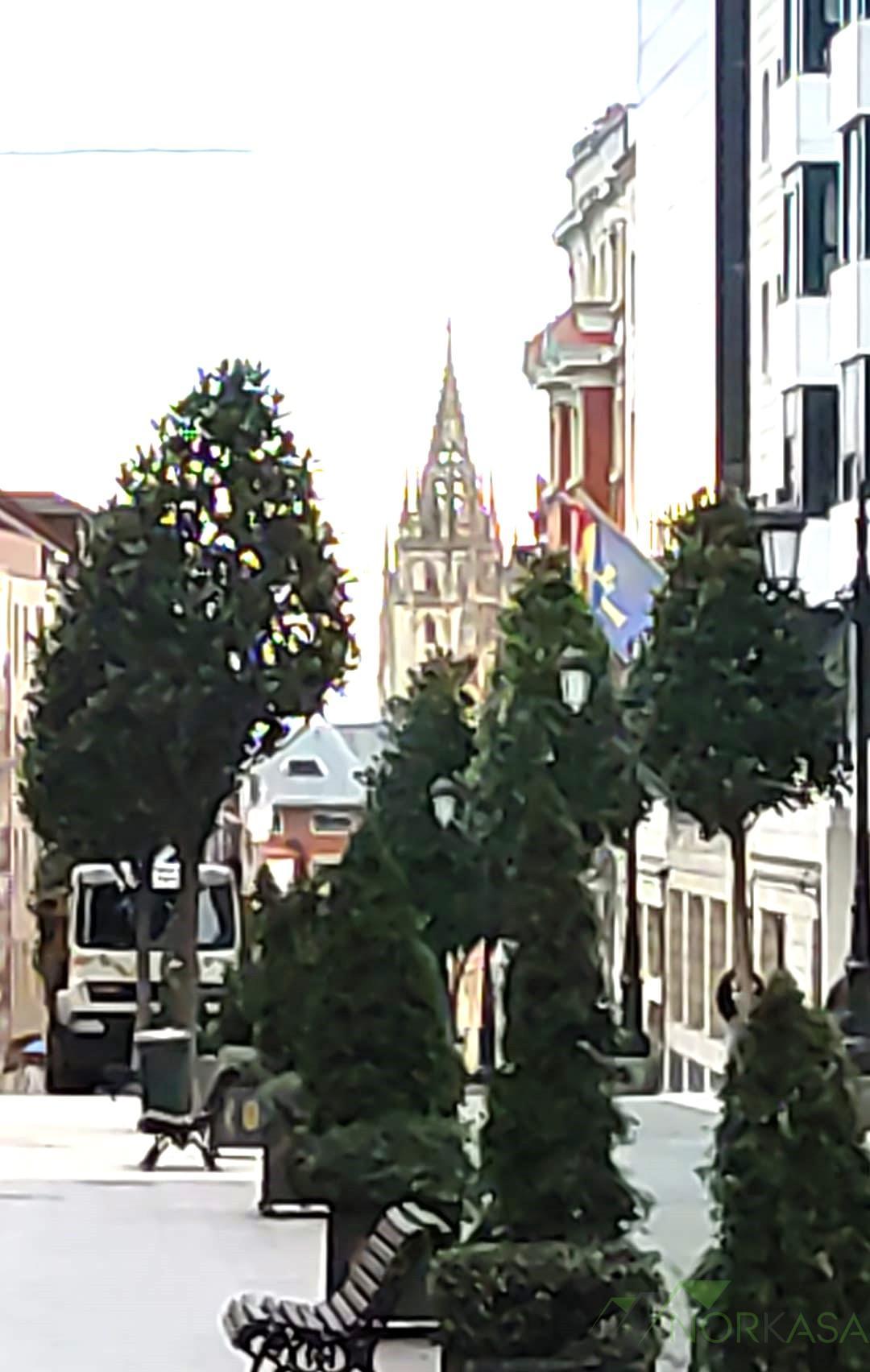 For sale of apartment in Oviedo