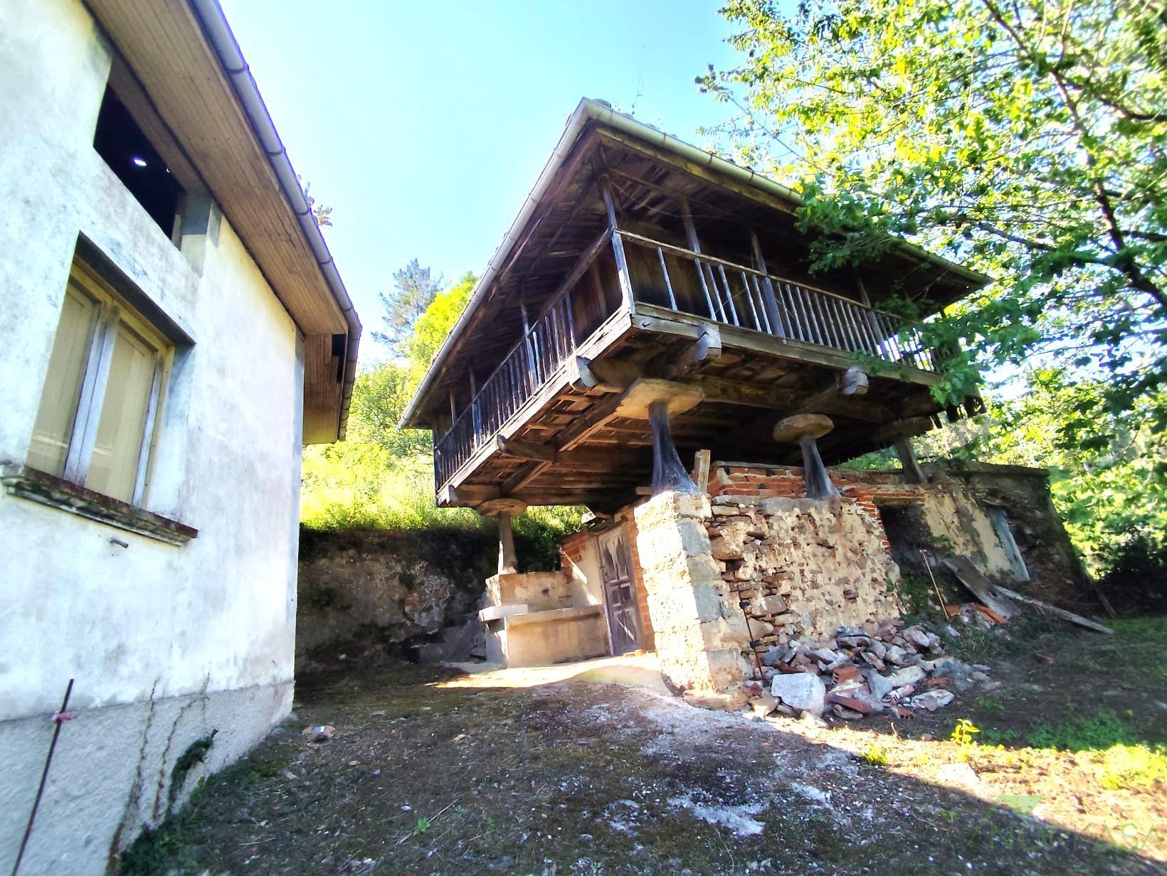 For sale of house in Salas Concejo