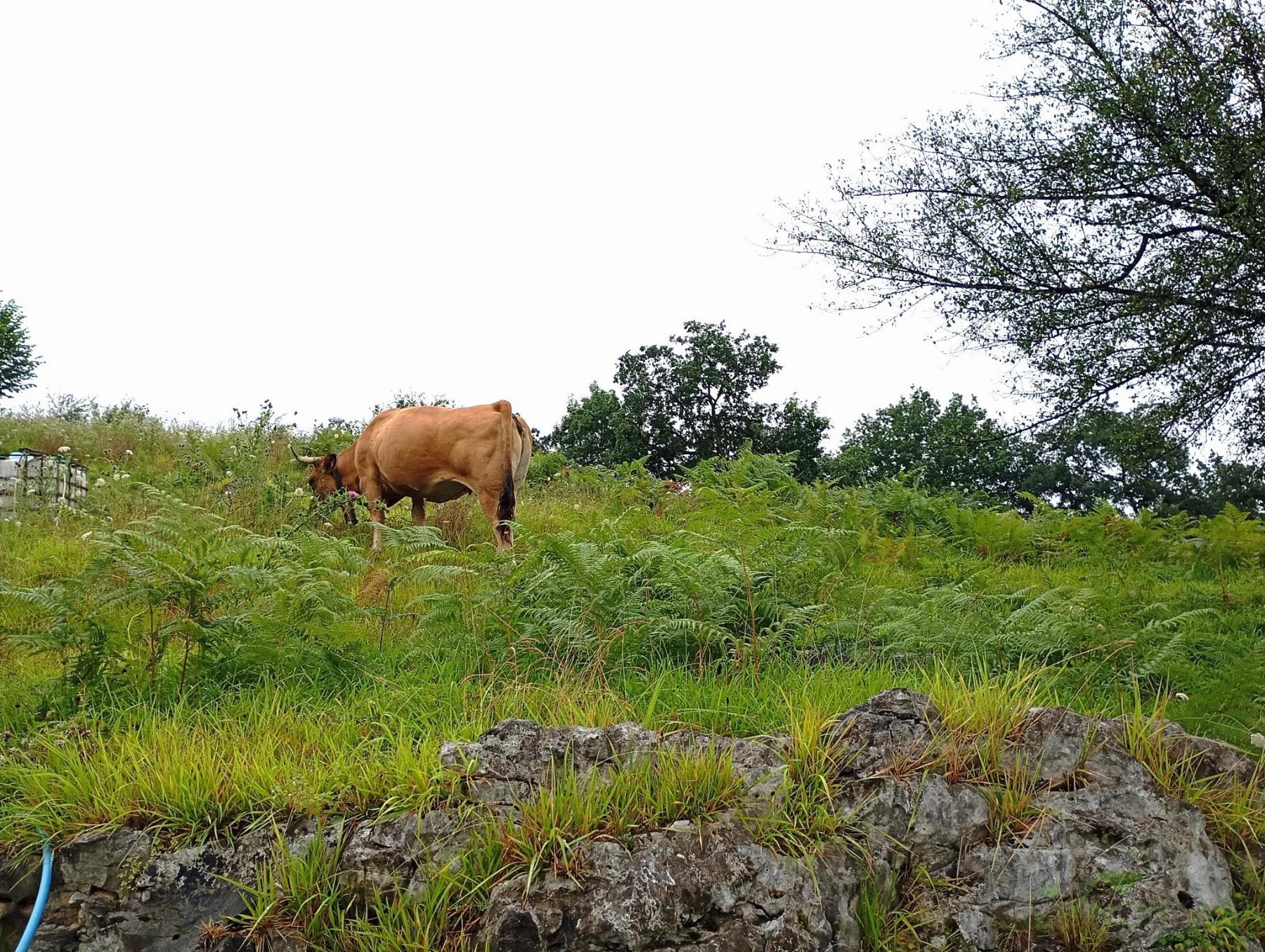 For sale of recreation property in Oviedo