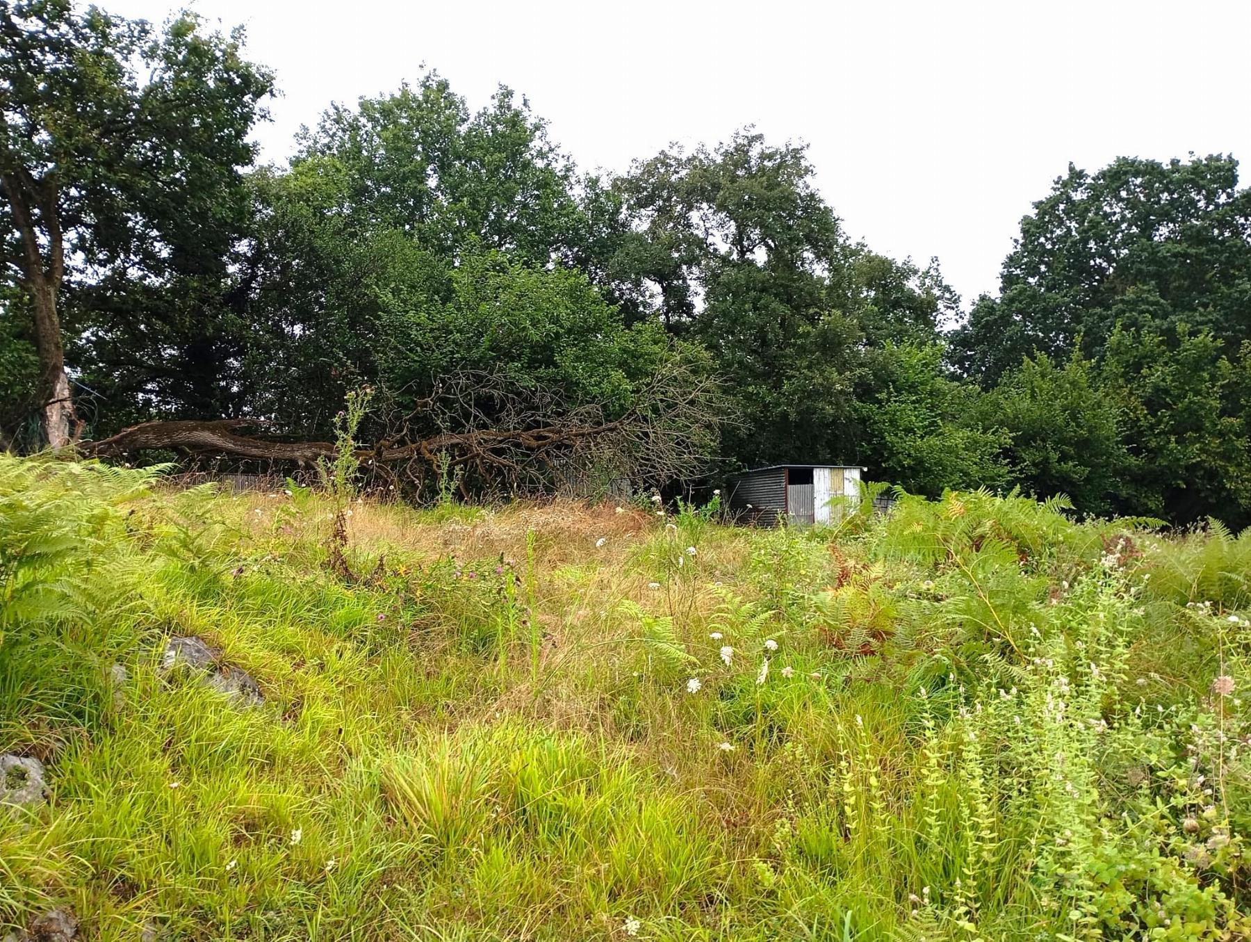 For sale of recreation property in Oviedo