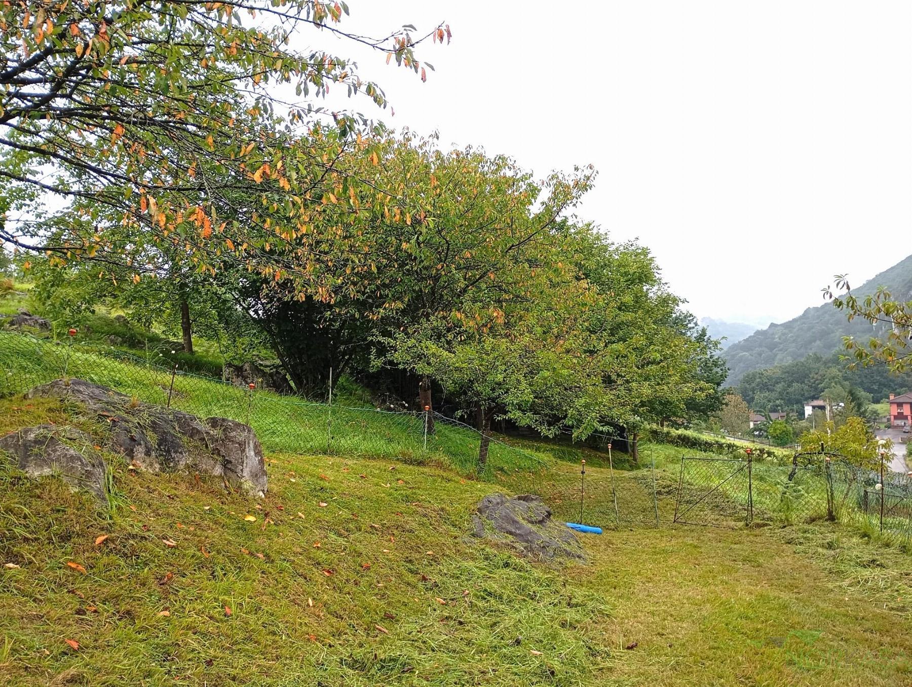 For sale of recreation property in Oviedo