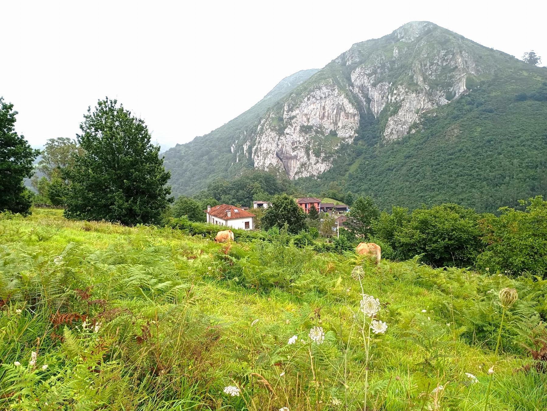 For sale of recreation property in Oviedo