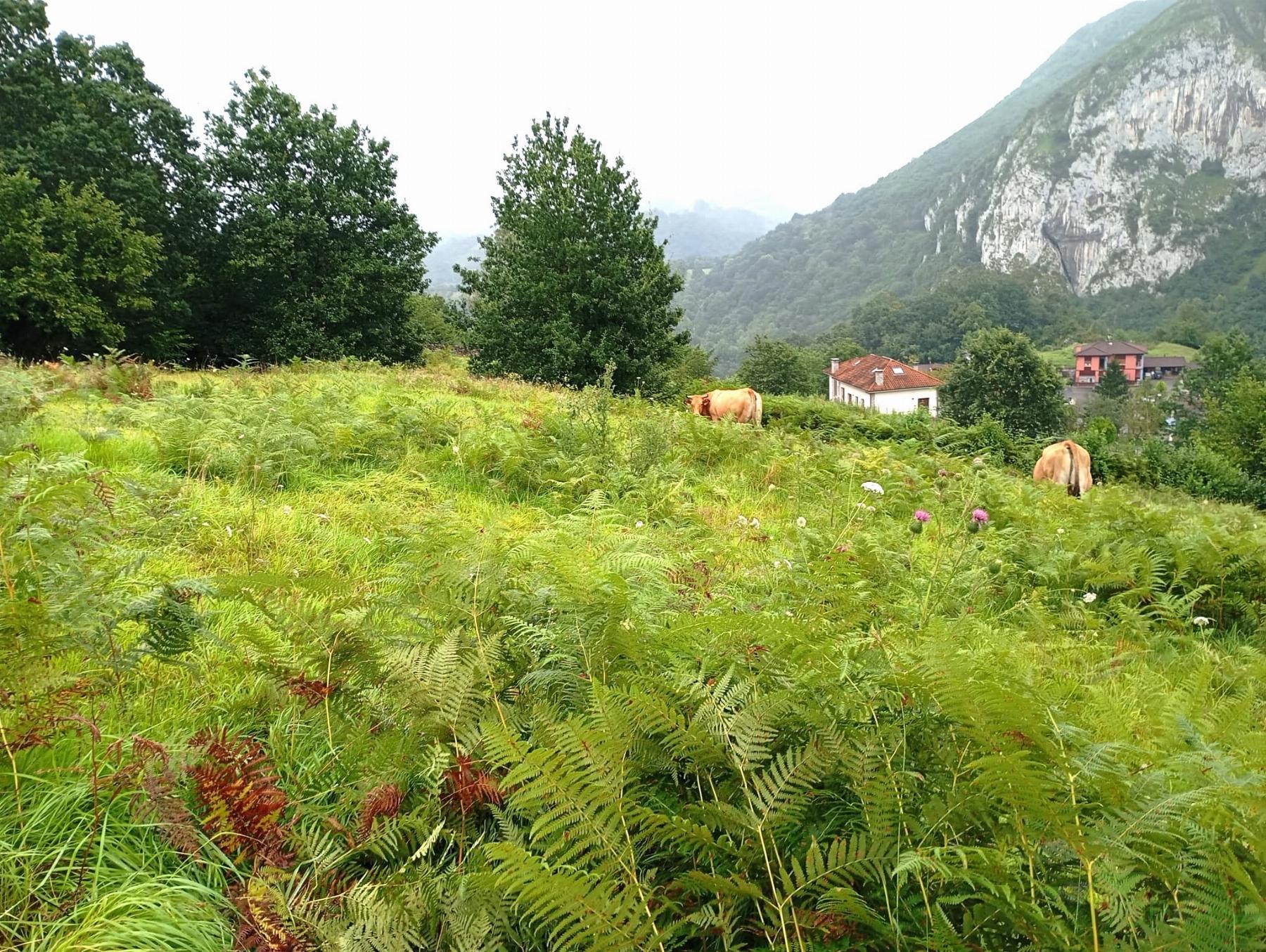 For sale of recreation property in Oviedo