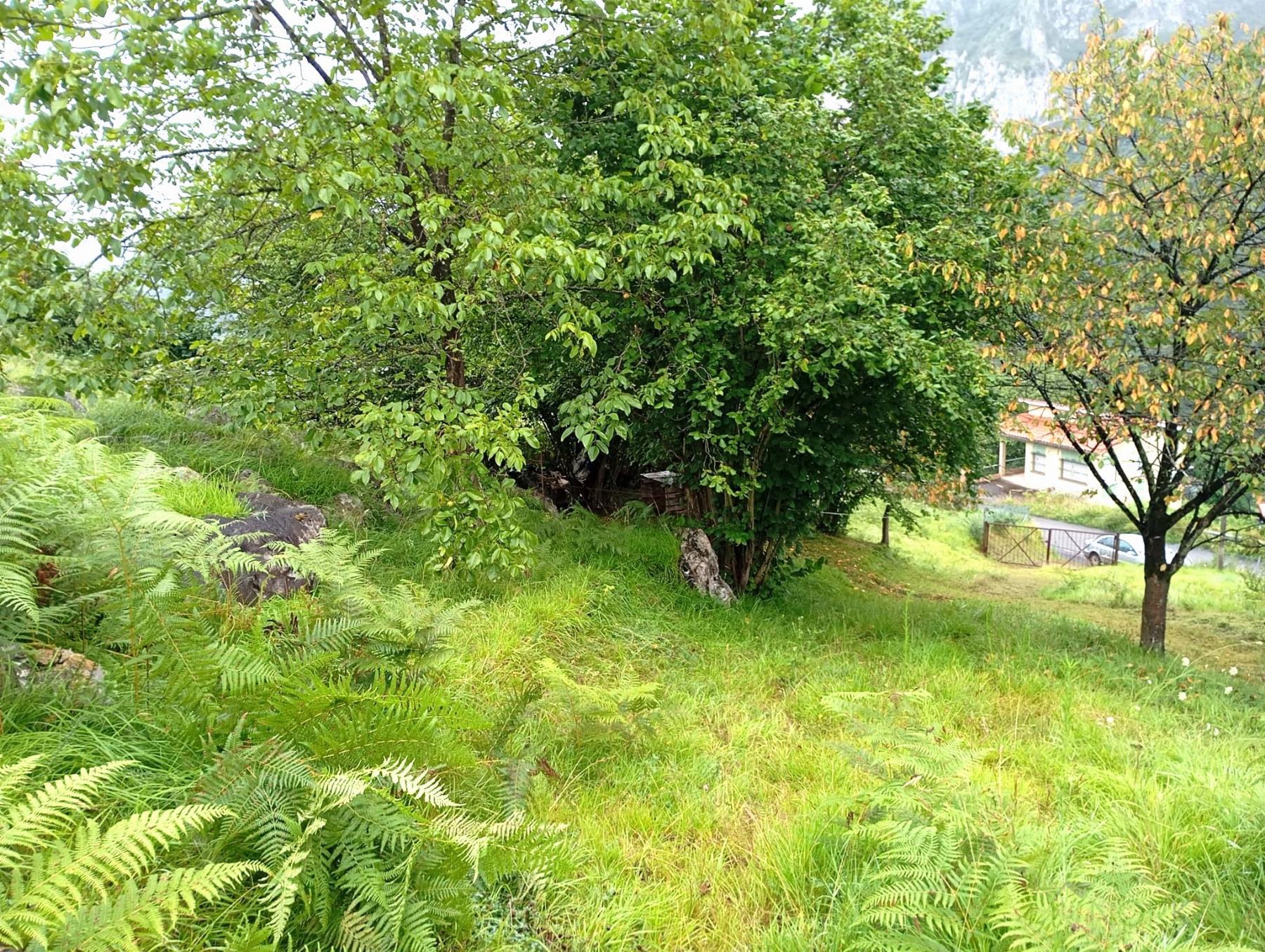 For sale of recreation property in Oviedo