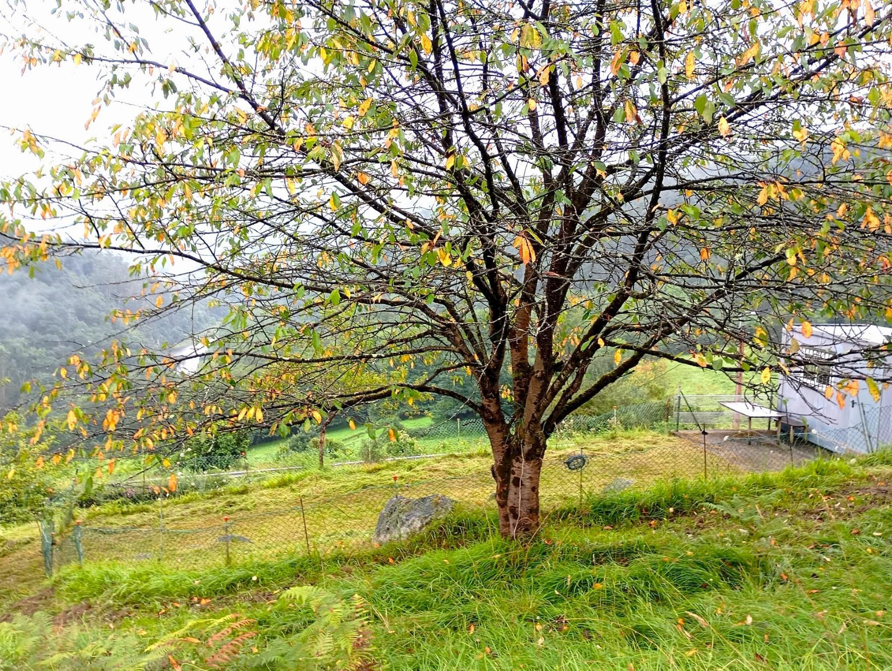 For sale of recreation property in Oviedo