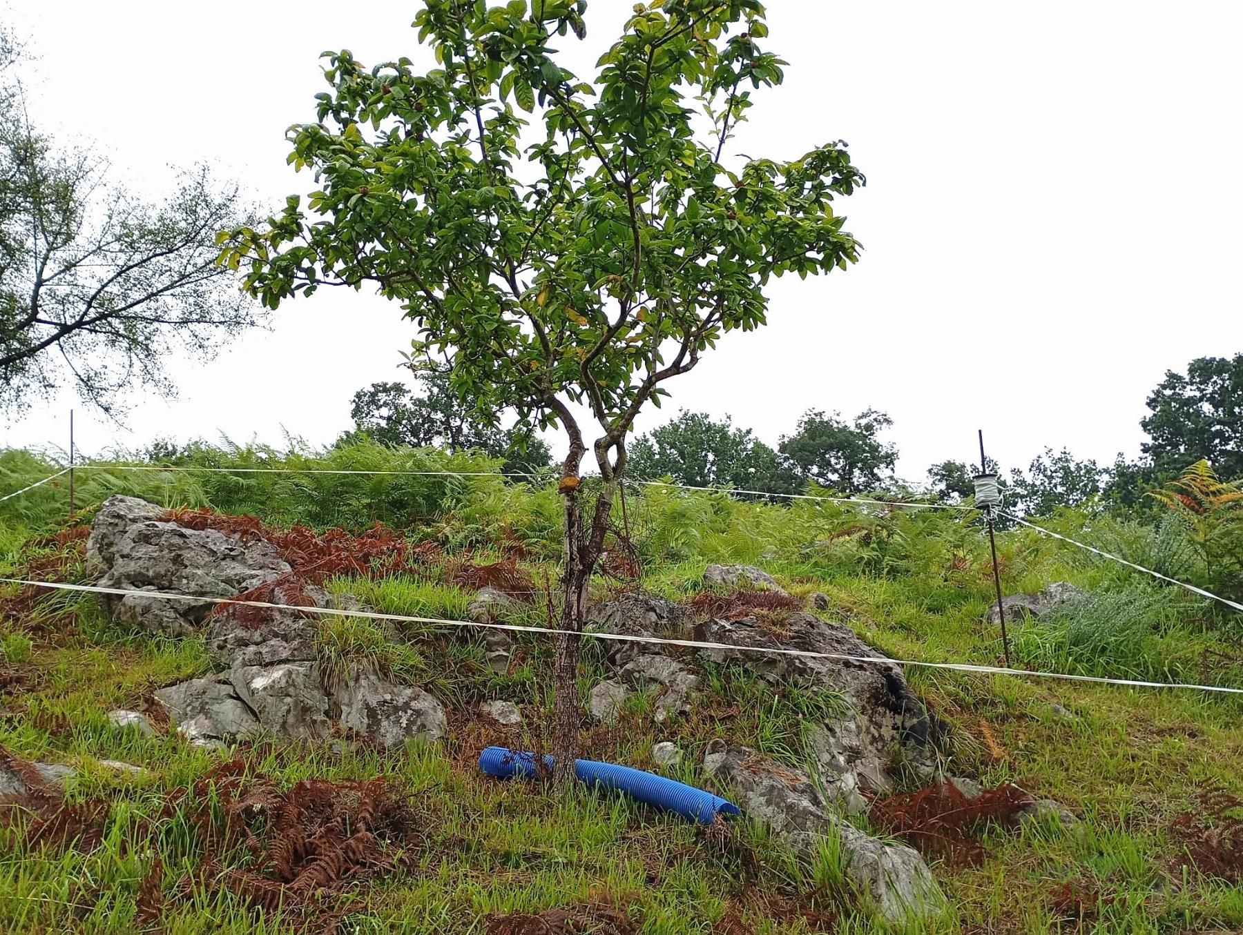 For sale of recreation property in Oviedo