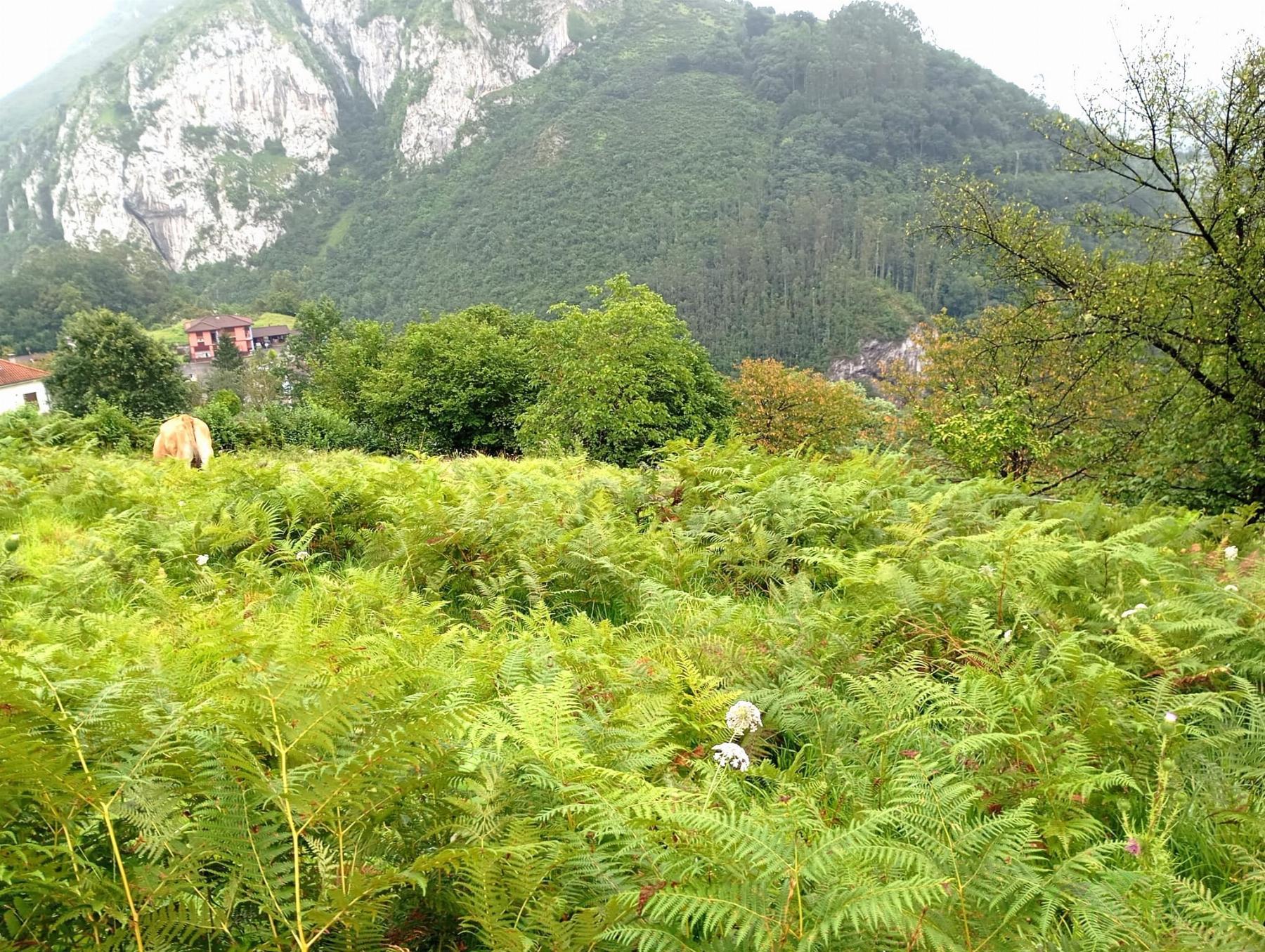 For sale of recreation property in Oviedo