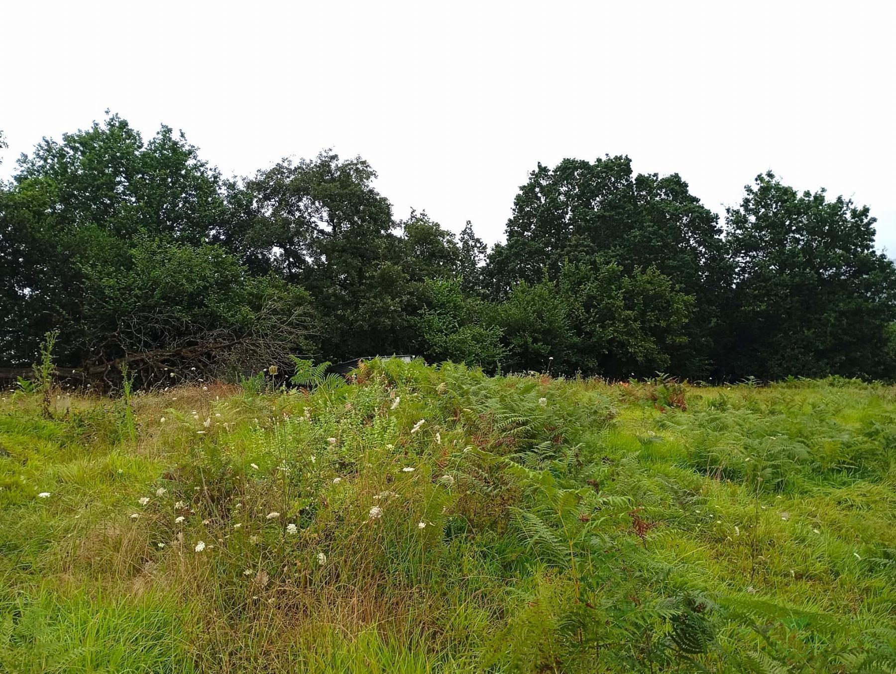 For sale of recreation property in Oviedo