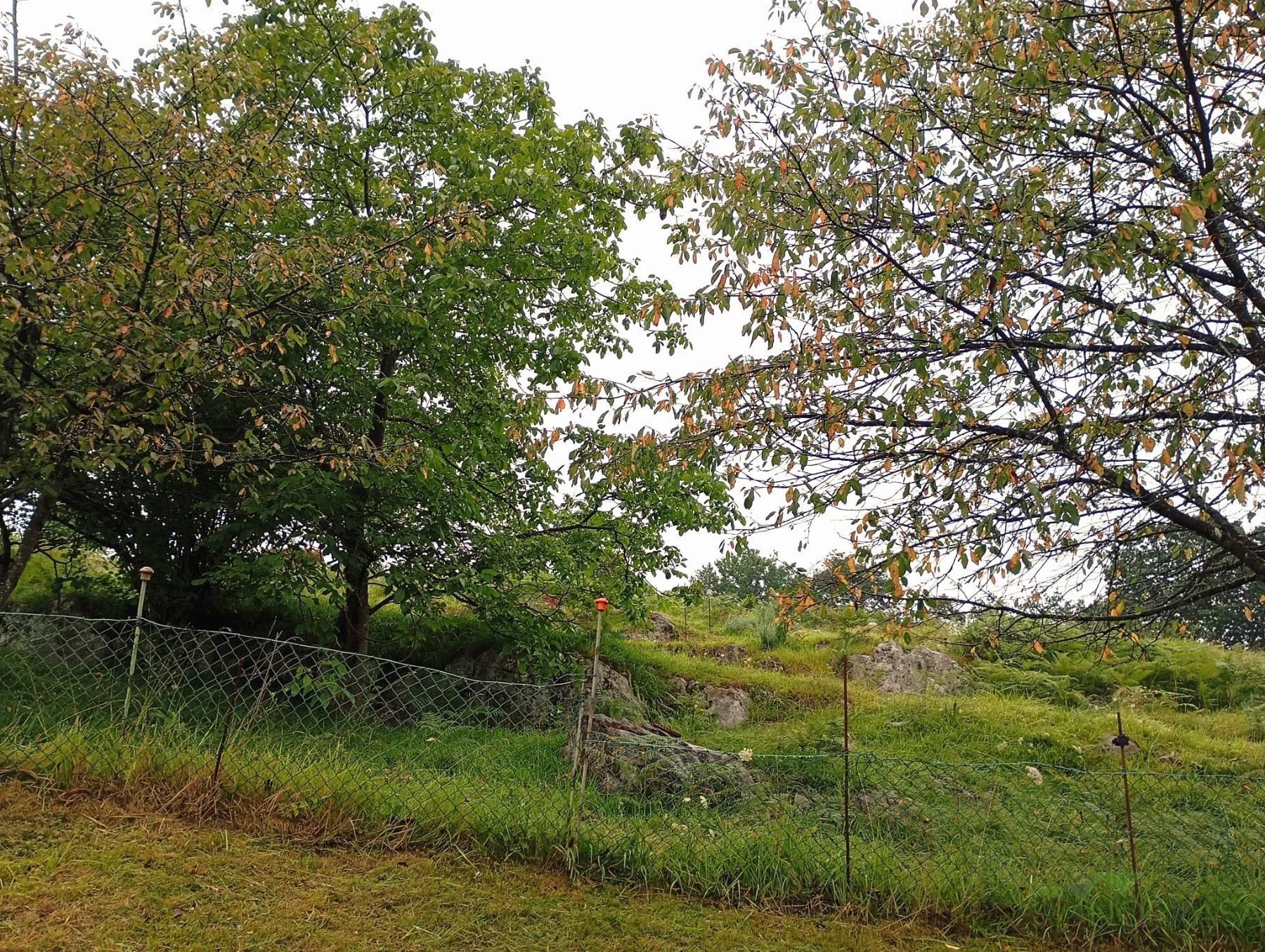 For sale of recreation property in Oviedo