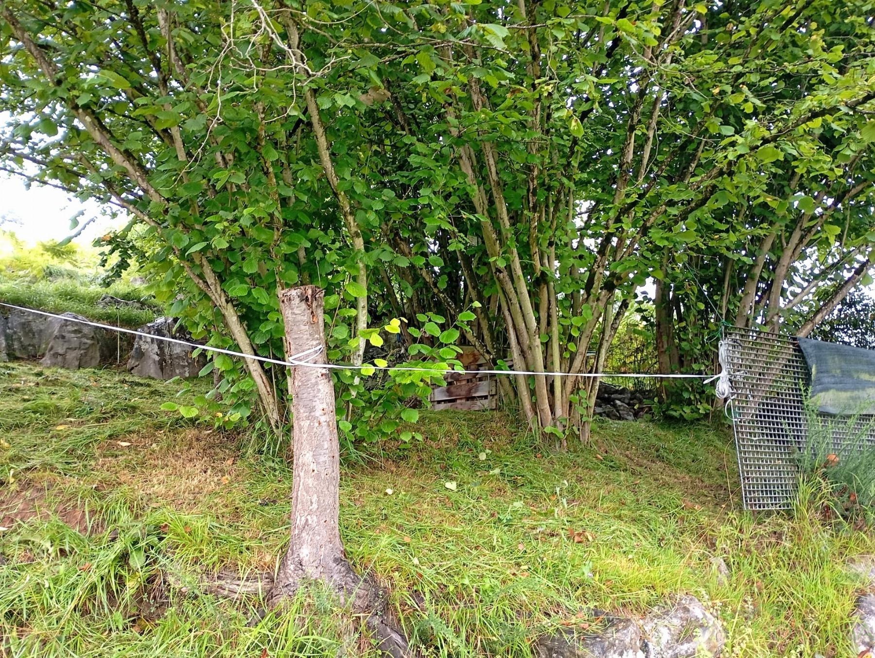 For sale of recreation property in Oviedo