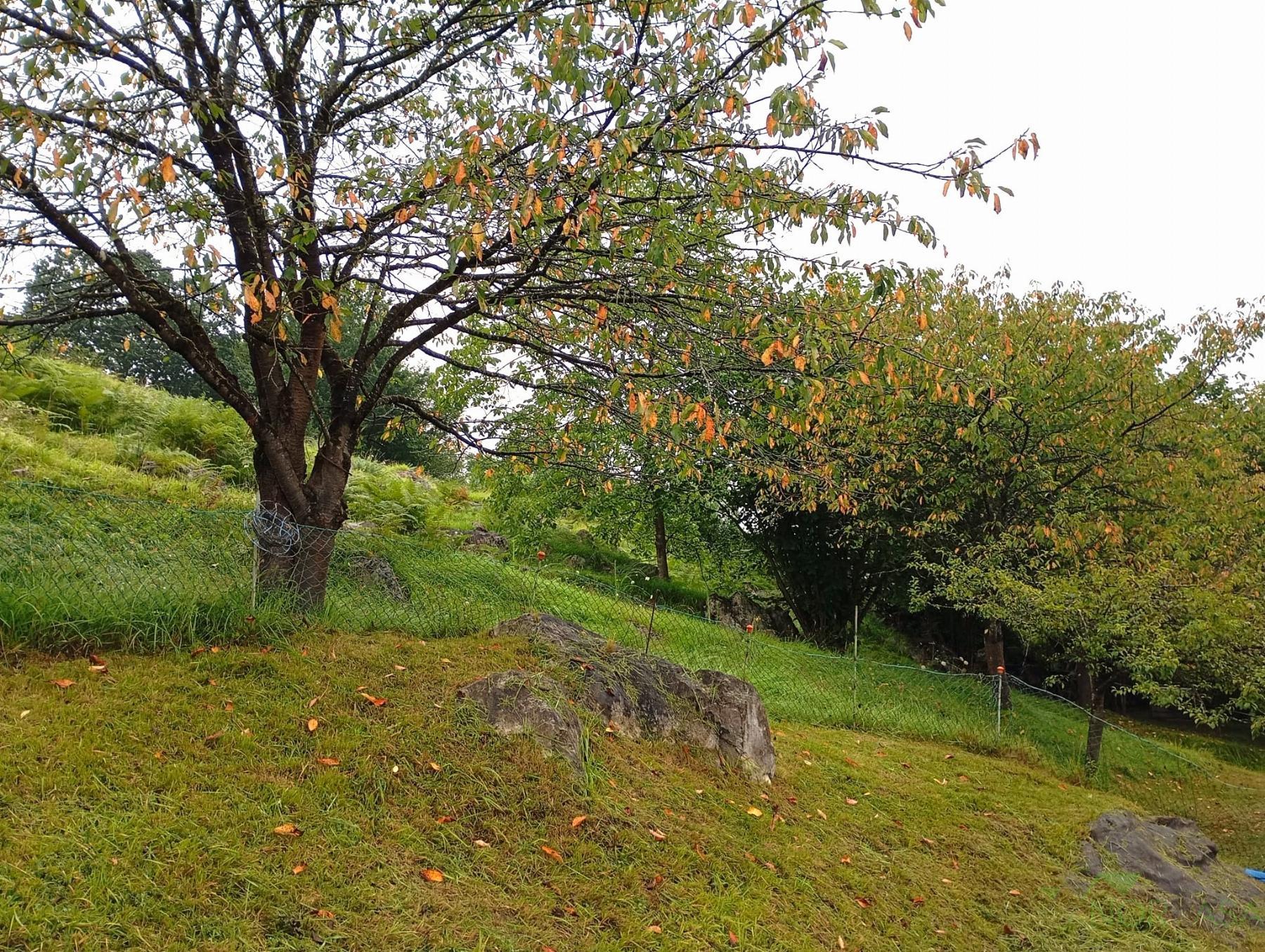 For sale of recreation property in Oviedo