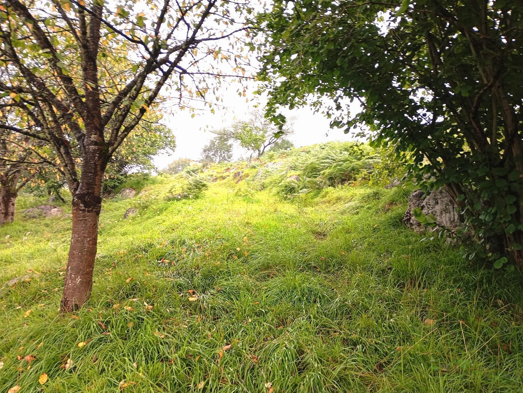 For sale of recreation property in Oviedo